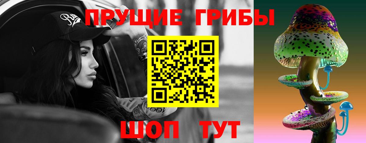 Петрозаводск  Псилоцибиновые грибы мухоморы  Вход с VPN 